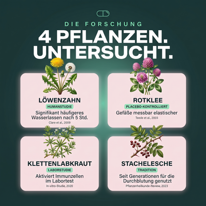 Körperwohl